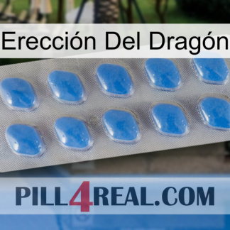 Erección Del Dragón 22